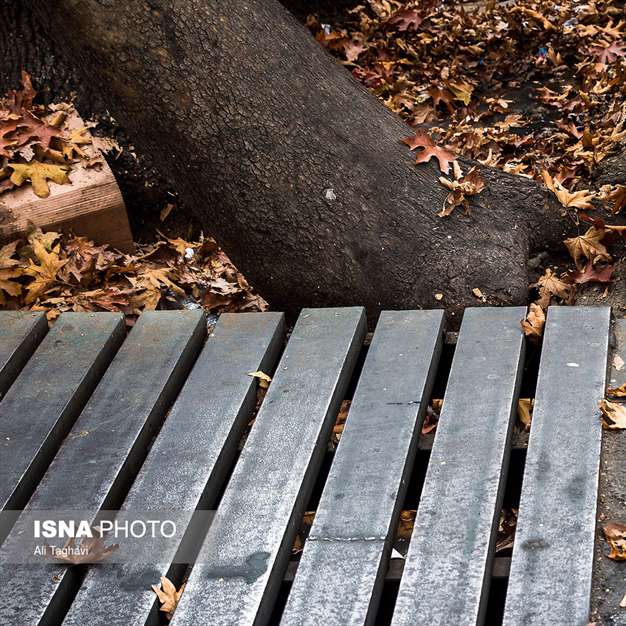 به رنگ خزان