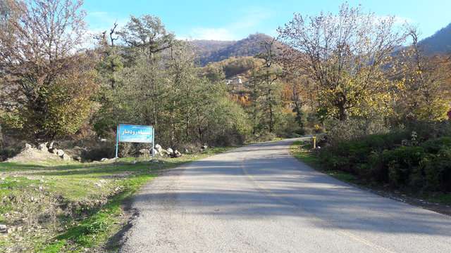 جنگل های هیرکانی