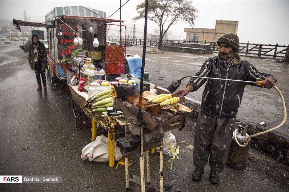 قامت سفید سنندج در واپسین روزهای پاییز