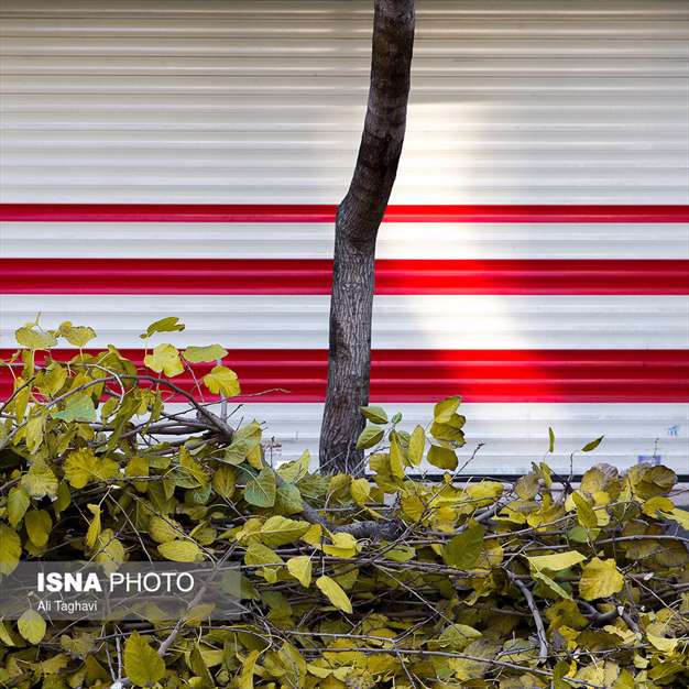 به رنگ خزان