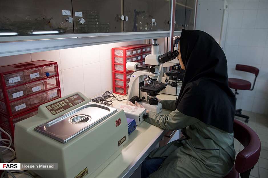 گنجینه‌ ی ۳ هزار ساله موزه ملک