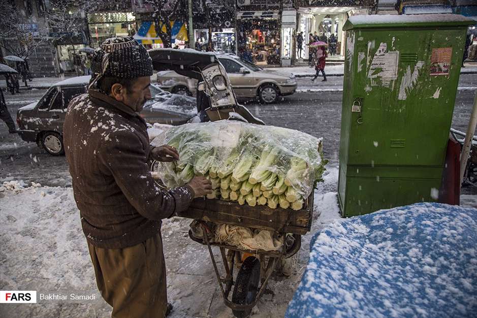 قامت سفید سنندج در واپسین روزهای پاییز