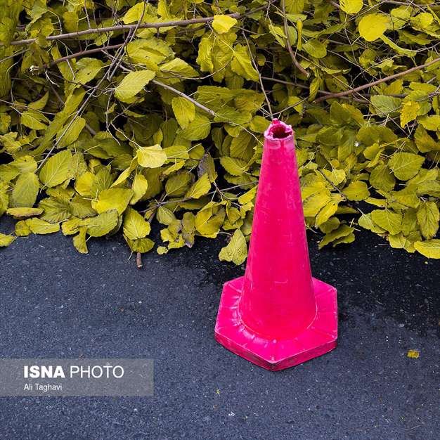 به رنگ خزان