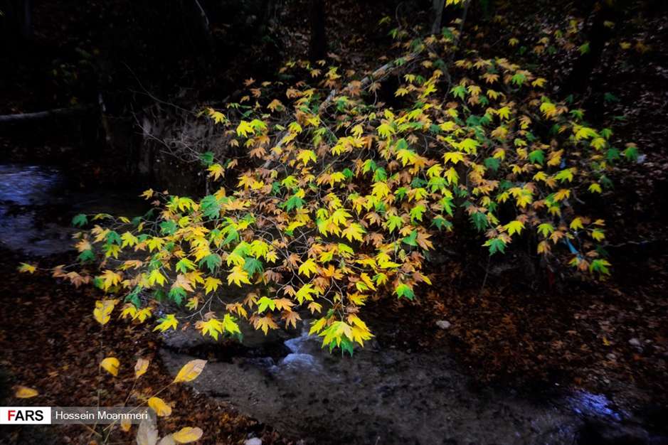 طبیعت پاییزی مهنان خراسان شمالی