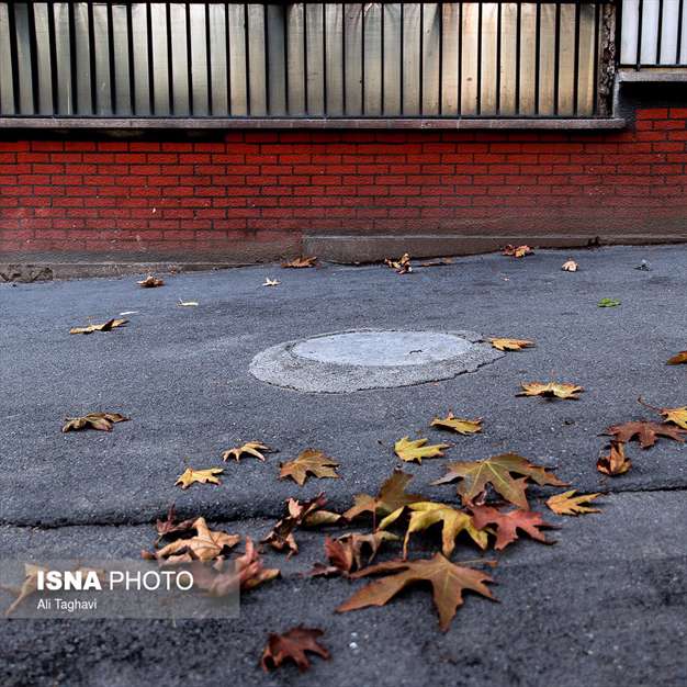 به رنگ خزان