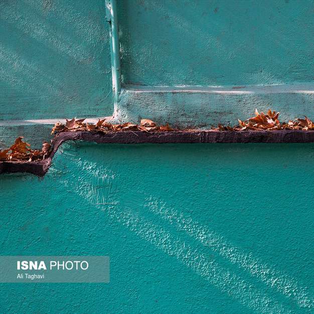 به رنگ خزان