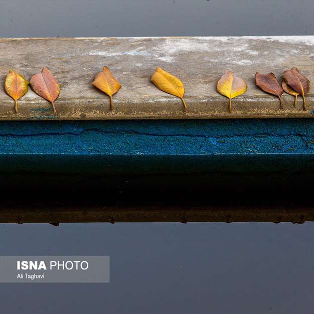 به رنگ خزان