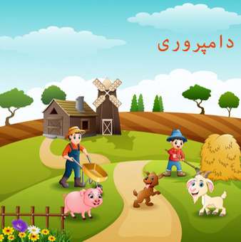 کار و زندگی
