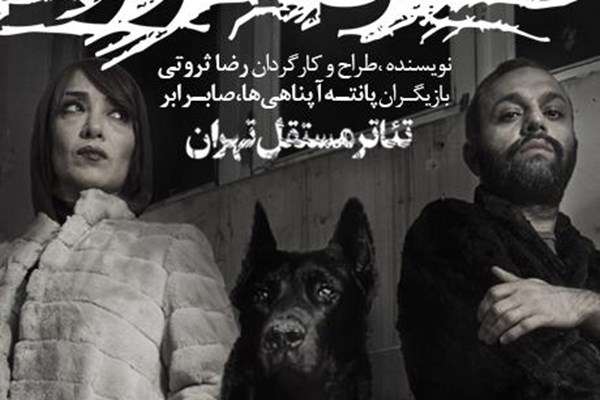 «تن شوری