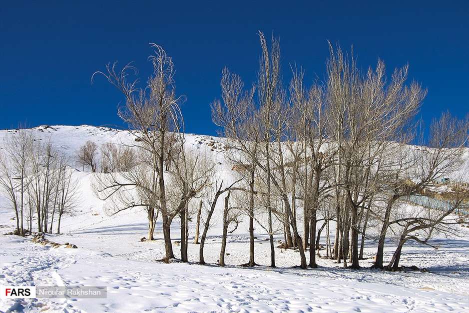 برف پاییزی در کوهرنگ