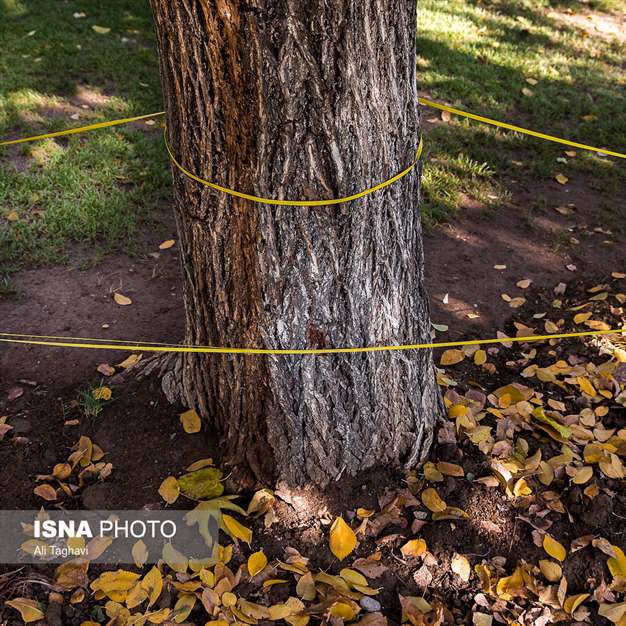 به رنگ خزان