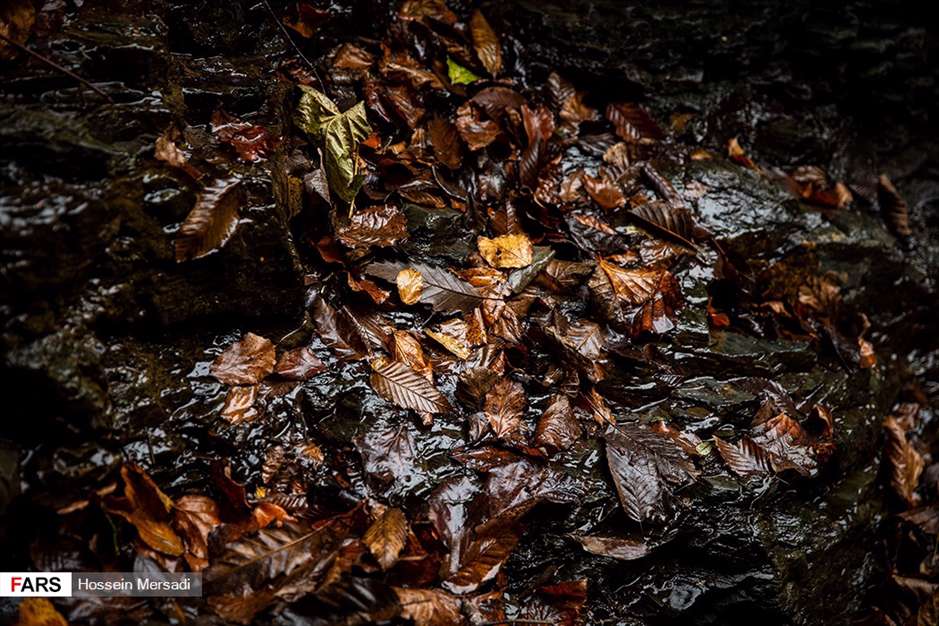 آبشار دودْوَزَن