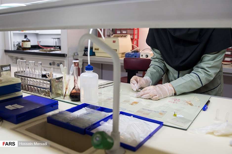 گنجینه‌ ی ۳ هزار ساله موزه ملک