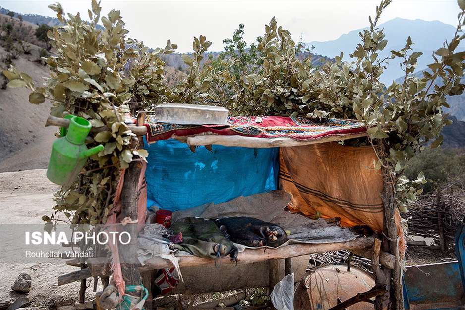 سرزمین خاموش