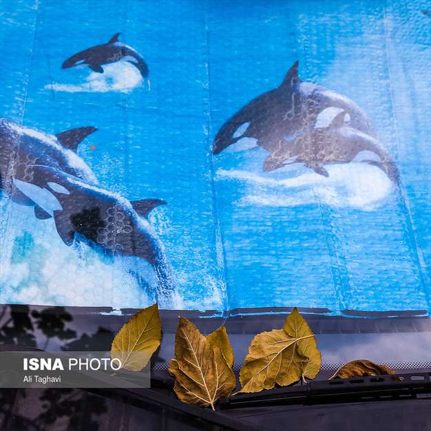 به رنگ خزان