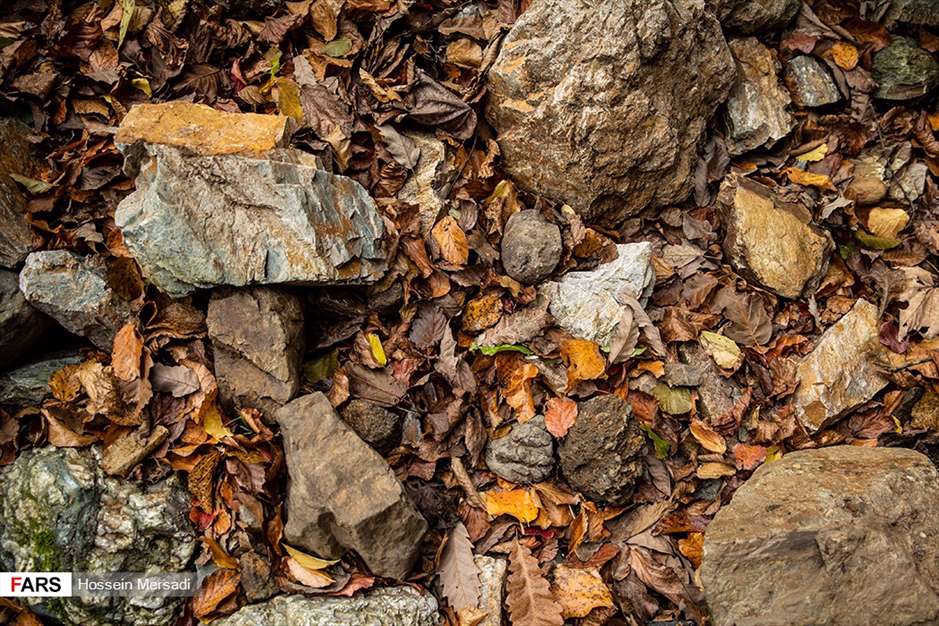 آبشار دودْوَزَن