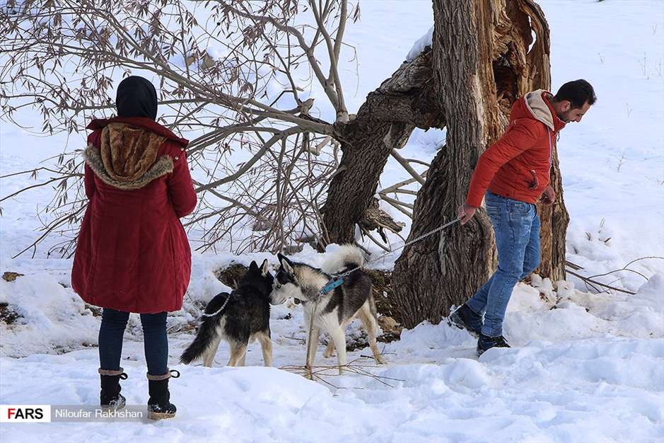 برف پاییزی در کوهرنگ