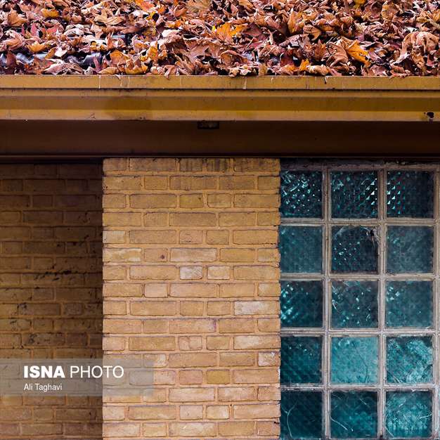 به رنگ خزان