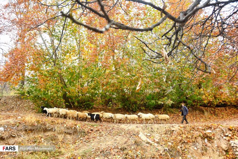 طبیعت پاییزی مهنان خراسان شمالی