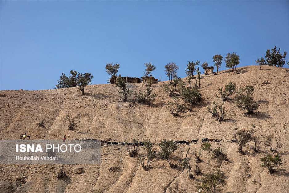 سرزمین خاموش