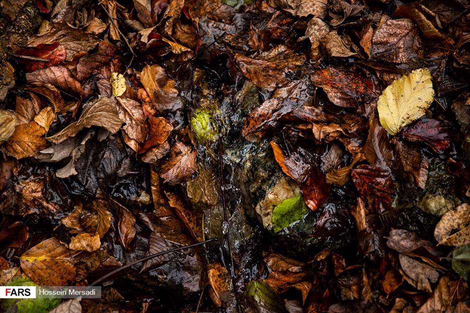 آبشار دودْوَزَن