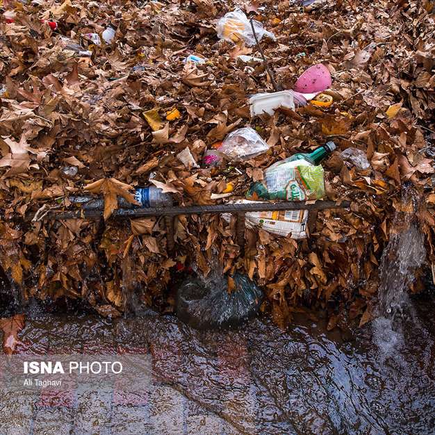 به رنگ خزان