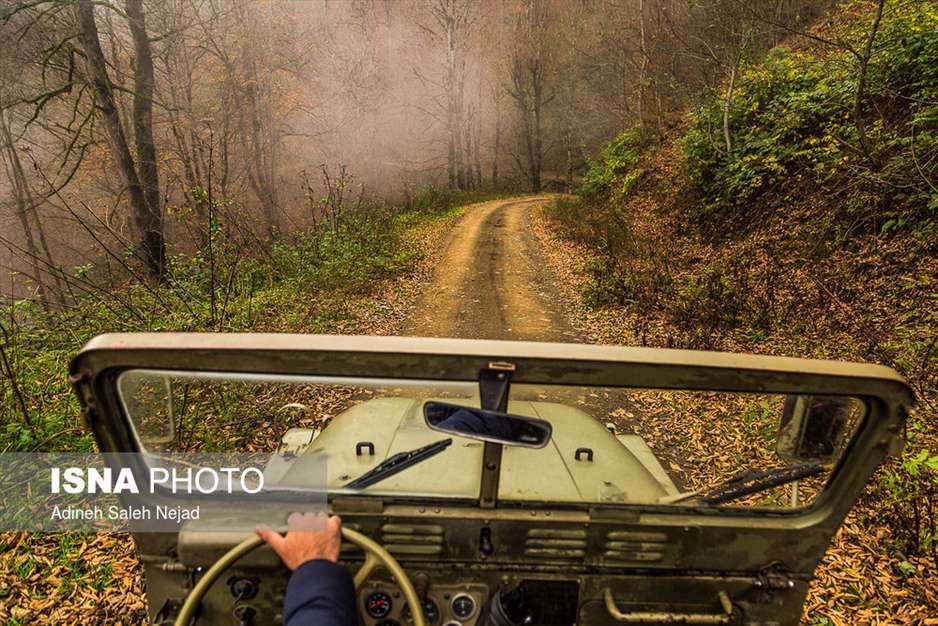 ایران زیباست؛ پاییز در «هالی دشت»
