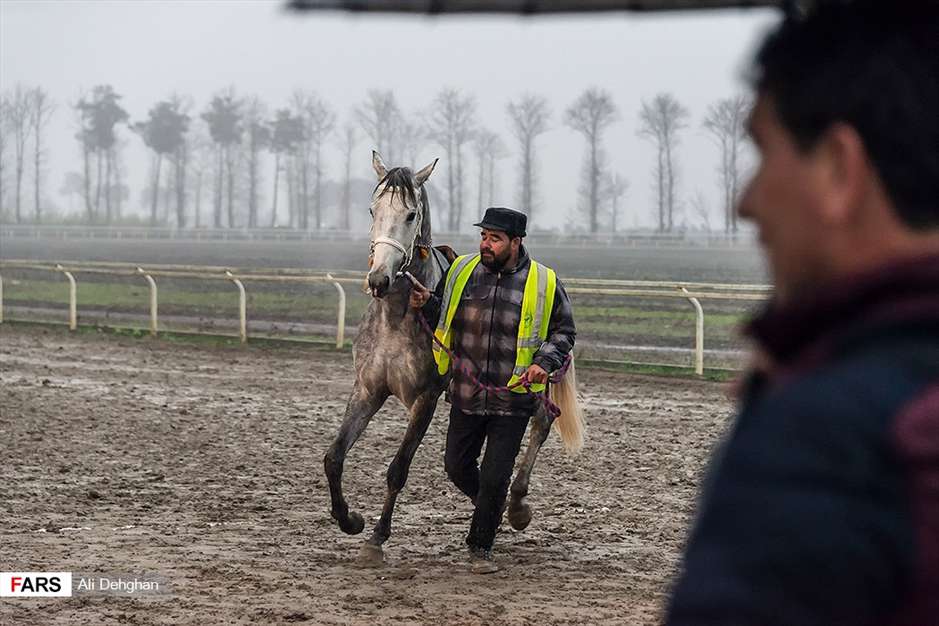 کورس اسبدوانی پاییزه گنبدکاووس