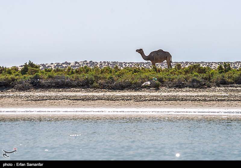 بندر تنگ سیستان و بلوچستان 
