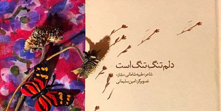 مجموعه اشعار مذهبی و مهارتی «طیبه شامانی» در مسیر نشر مجموعه اشعار مذهبی و مهارتی «طیبه شامانی» در مسیر نشر