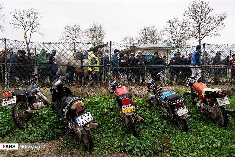 کورس اسبدوانی پاییزه گنبدکاووس