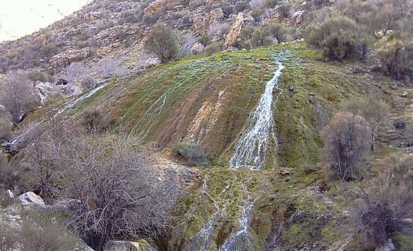چشمه پلنگان چشمه پلنگان