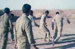 فوتبال در اسارت