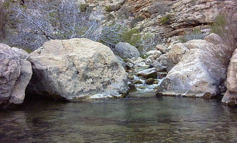 چشمه پلنگان