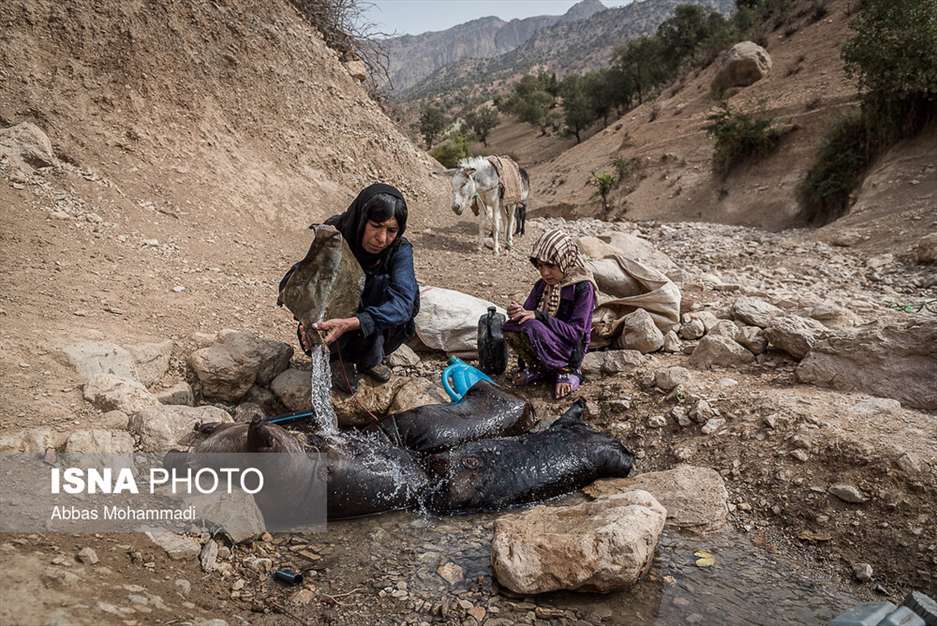 فراموش شدگان