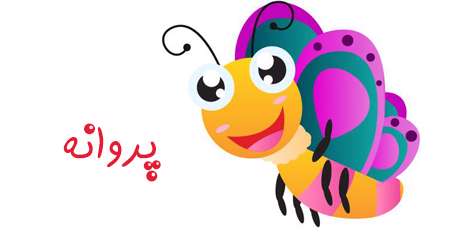 پروانه