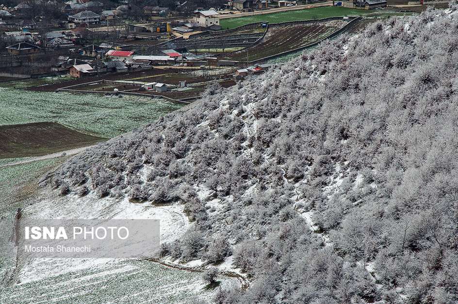 طبیعت برفی منطقه دودانگه استان مازندران