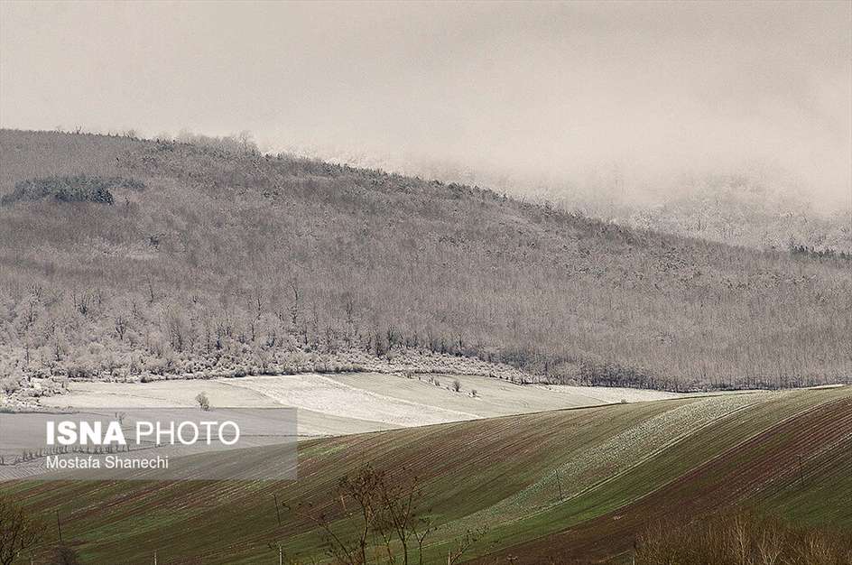 طبیعت برفی منطقه دودانگه استان مازندران