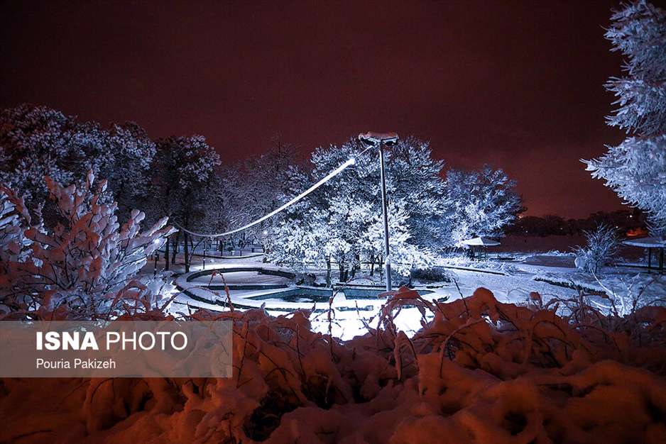 بارش برف در آخرین روزهای پاییز