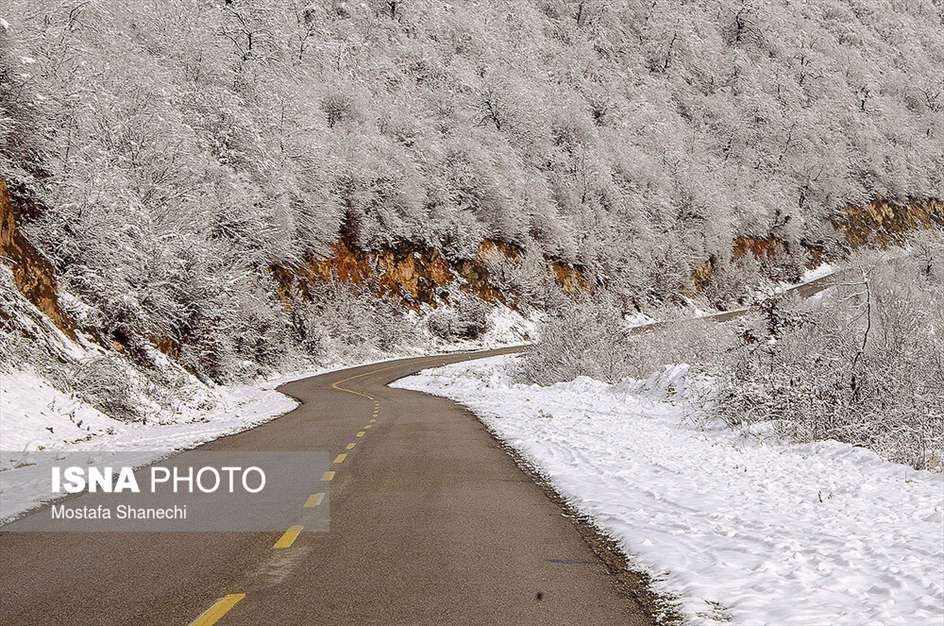 طبیعت برفی منطقه دودانگه استان مازندران