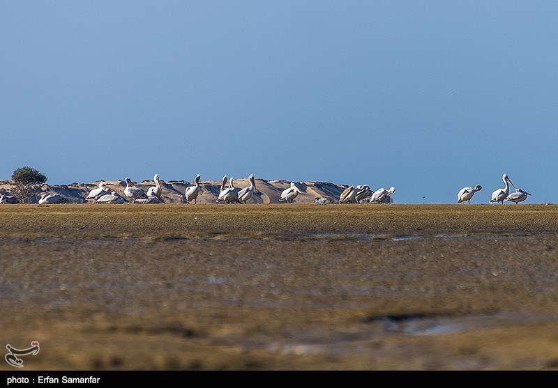 بندر تنگ سیستان و بلوچستان 
