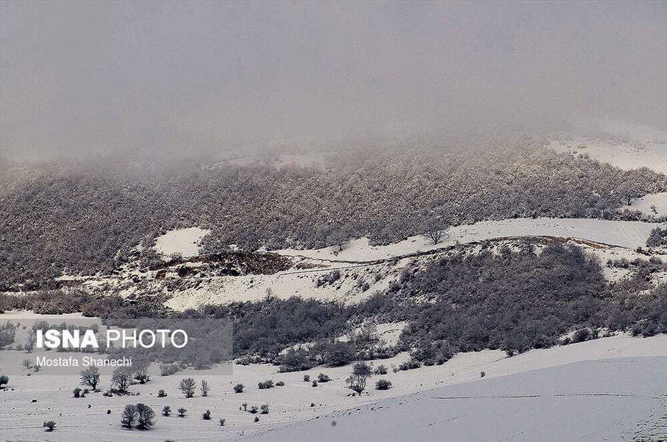 طبیعت برفی منطقه دودانگه استان مازندران