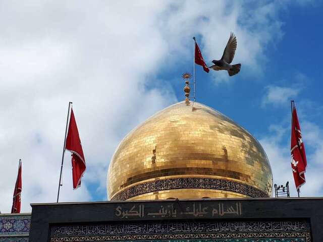 بصیرت حضرت زینب (س) عاشورا را ماندگار کرد بصیرت حضرت زینب (س) عاشورا را ماندگار کرد