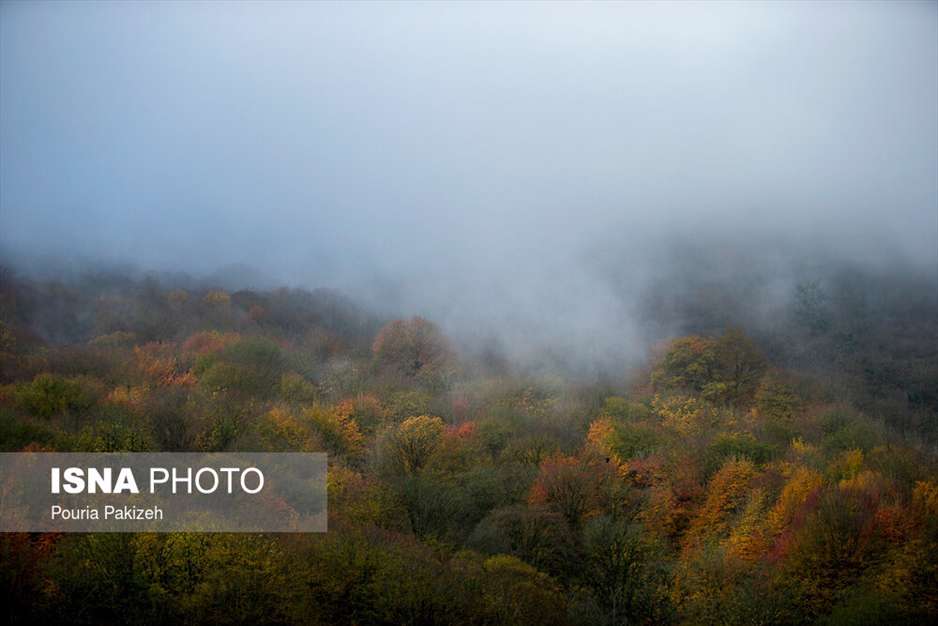 ایران زیباست؛ طبیعت پاییزی «شیرگاه» 