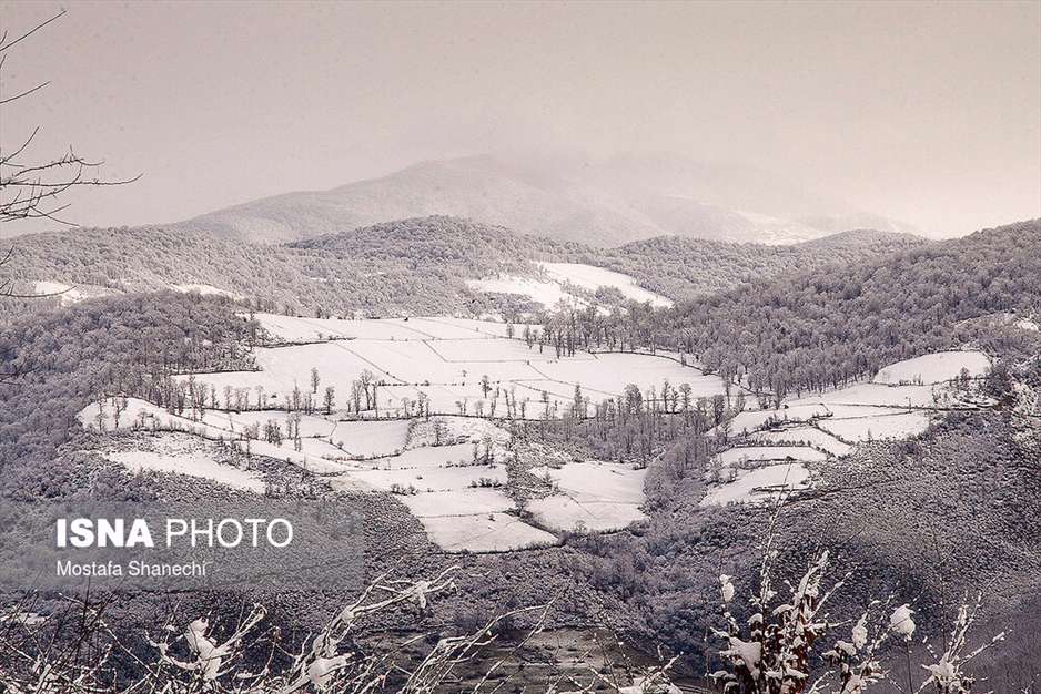 طبیعت برفی منطقه دودانگه استان مازندران
