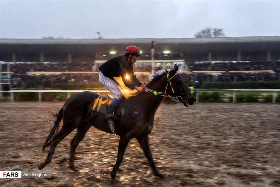 کورس اسبدوانی پاییزه گنبدکاووس