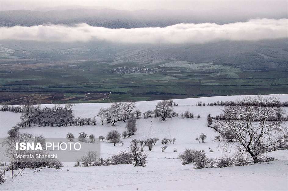 طبیعت برفی منطقه دودانگه استان مازندران