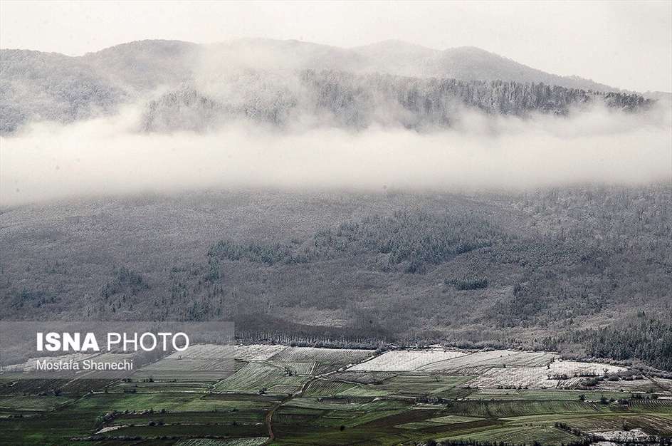 طبیعت برفی منطقه دودانگه استان مازندران