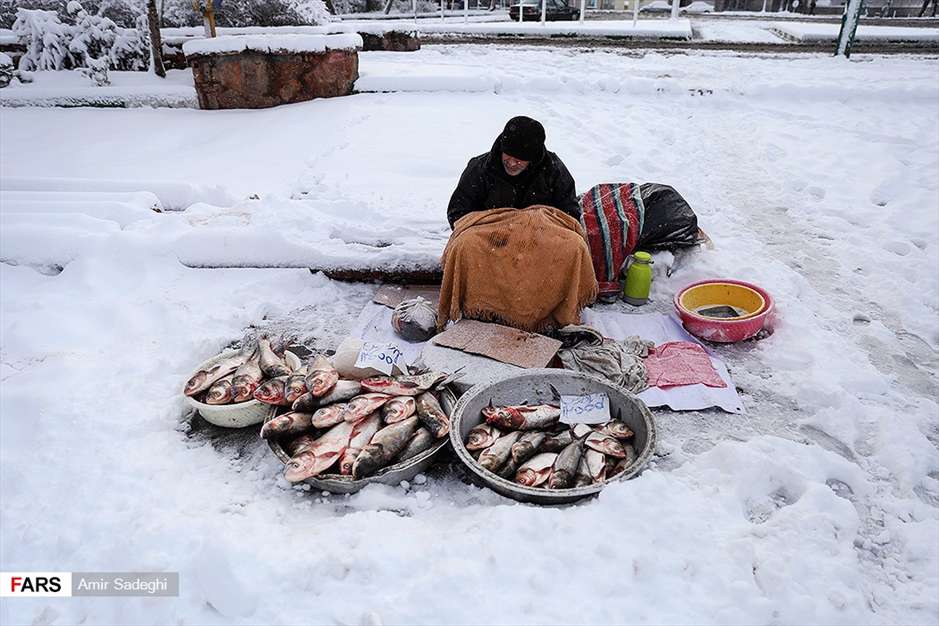 بارش سنگین برف در تبریز