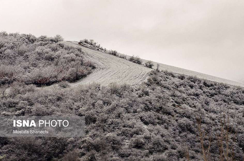 طبیعت برفی منطقه دودانگه استان مازندران